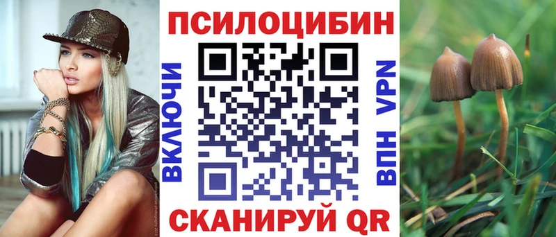 Купить  Медногорск  Псилоцибиновые грибы MAGIC MUSHROOMS 