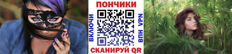 Бошки Шишки конопля Медногорск